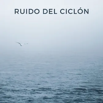 Ruido Del Ciclón by Bonitos ruidos de lluvia