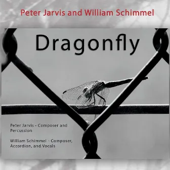 Dragonfly by Peter Jarvis