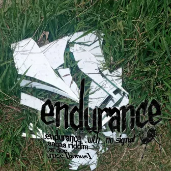 EndurancE by Brea