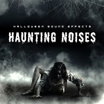 Haunting Noises by Unknown Artist