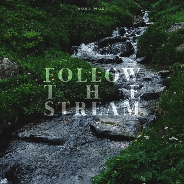 Follow the Stream