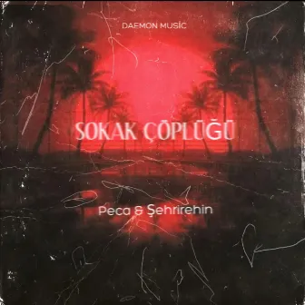 Sokak Çöplüğü (Feat Şehrirehin) by Peca