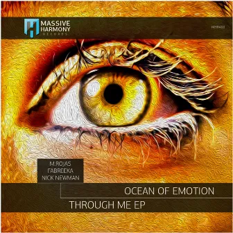 Through Me (Fabreeka Remix) by Ocean of Emotion