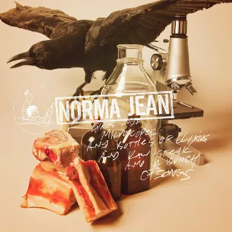 Birds And Microscopes And Bottles Of Elixirs And Raw Steak And A Bunch Of Songs by Norma Jean