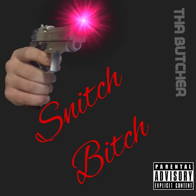 Snitch Bitch