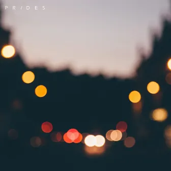 What's Love Got To Do With It by Prides