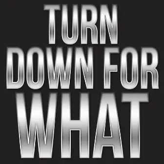 Turn Down For What by DJ Hitz