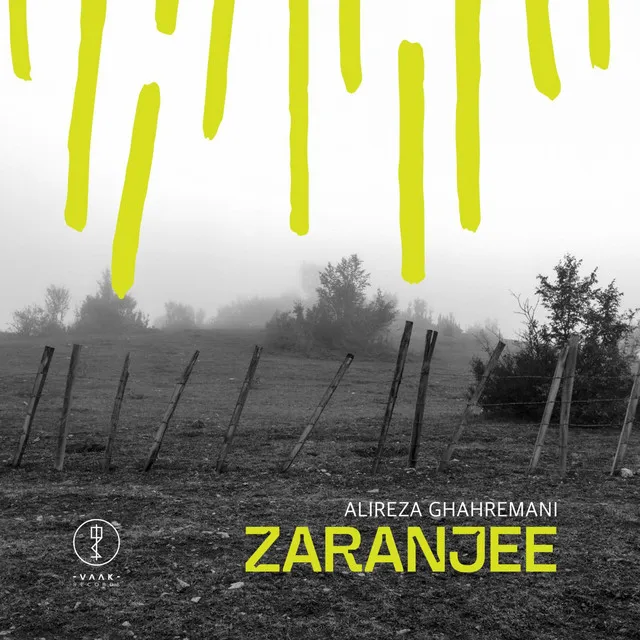 Zaranjee - Radio Edit