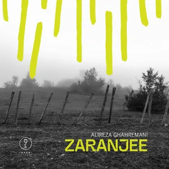 Zaranjee (Radio Edit) by Alireza Ghahremani