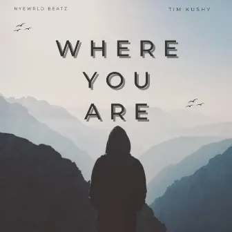 Where You Are by Tim Kushy