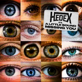 Missing You (feat. A Little Sound) by Hedex