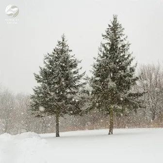 Echoes Of Piano Amidst Nature by Mother Nature Ambience