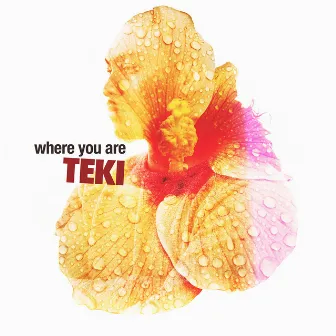 Where You Are by Teki