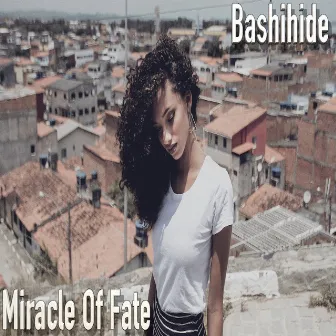 Miracle Of Fate by Bashihide