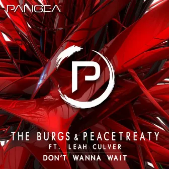 Don't Wanna Wait (ft. Leah Culver) by The Burgs