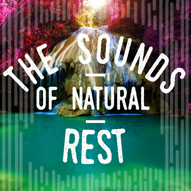 The Sounds of Natural Rest