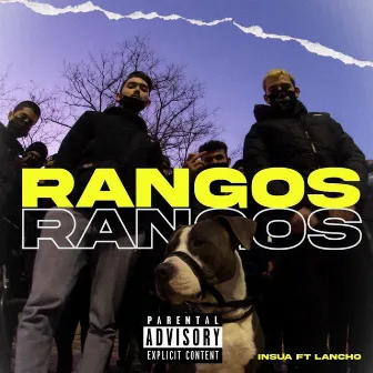 Rangos by Insua