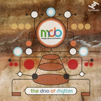 The DNA of Rhythm by Magic Drum Orchestra