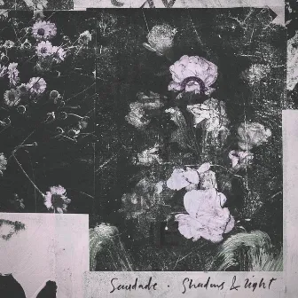 Shadows & Light by Saudade