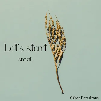 Let's start small by Oskar Forsström