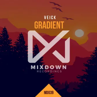 Gradient by Veick