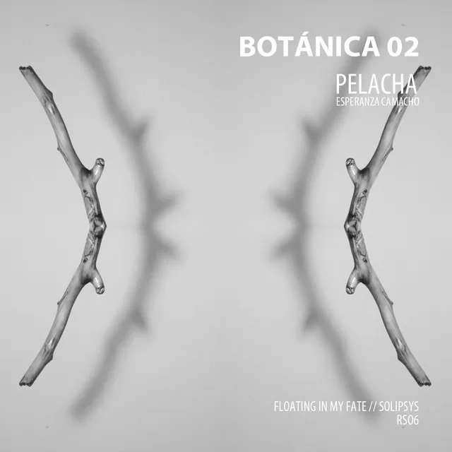 Botánica 02