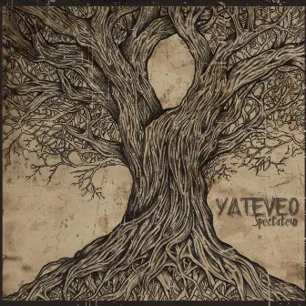 Yateveo by Spectateur