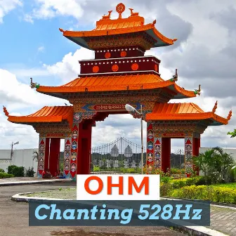 Ohm Chanting 528Hz - Buddhist Meditation Music for Positive Energy by Unknown Artist