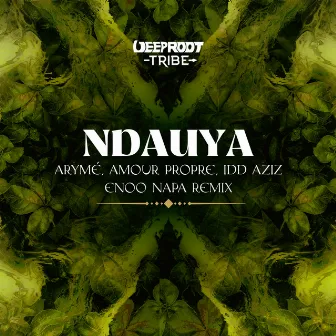 Ndauya - Enoo Napa Remix by Amour Propre