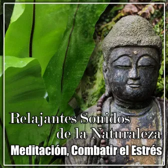 Relajantes Sonidos de la Naturaleza: Relajante Colección para Meditación, Combatir el Estrés, Cura para el Insomnio, Música Calmante, Serenidad by Academia de Música para el Alma