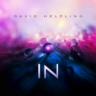 IN by David Helpling