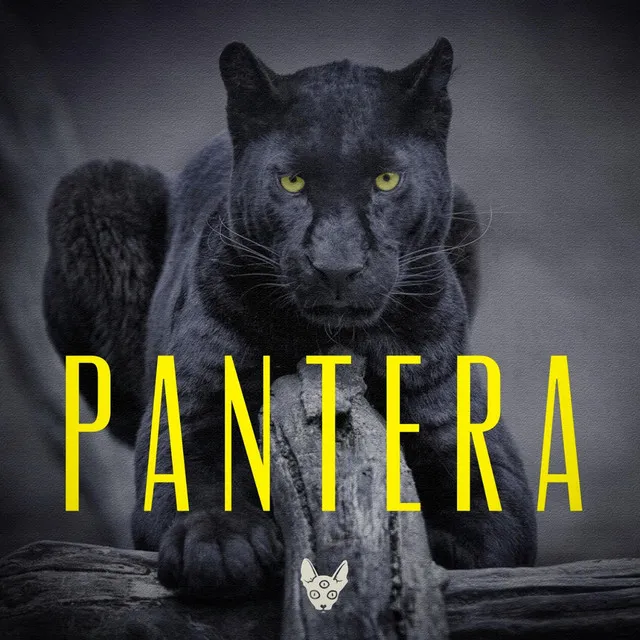 Pantera