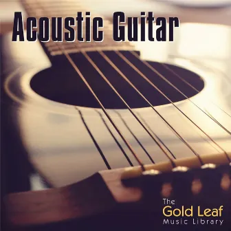 Acoustic Guitar by Chris Newman