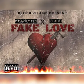 Fake Love by Don Holly