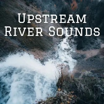 Upstream River Sounds by Unknown Artist