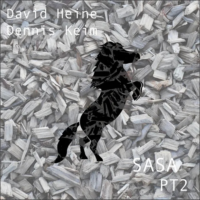 Sasa - David Heine Remix