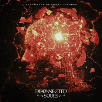 Fragments of Consciousness by Disconnected Souls