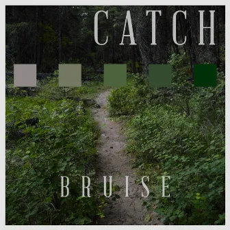 Bruise by Catch