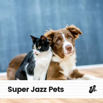 Super Jazz Pets by Jazz for Dogs