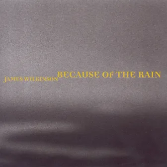 Wilkinson, James: Because of the Rain by James Wilkinson