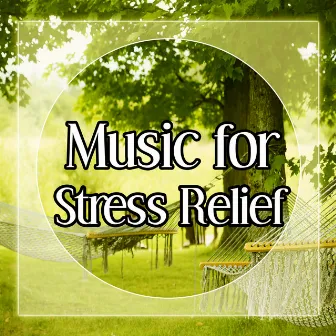 Music for Stress Relief – Relax Yourself with New Age, Nature Sounds to Relax, Soft Music by Nature Sounds Universe