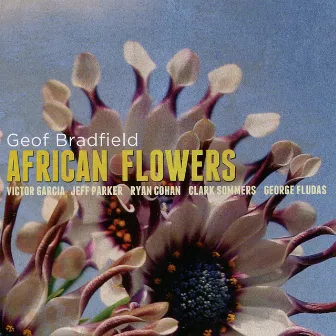 African Flowers by Geof Bradfield