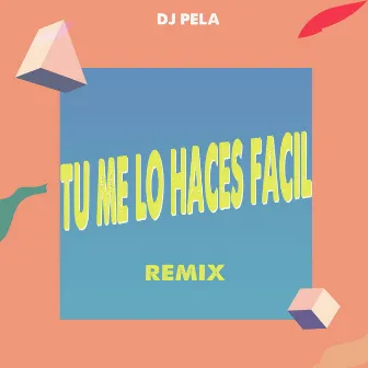 Tu Me Lo Haces Facil by DJ Pela