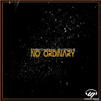 No Ordinary Dream by Phenomenal Musiique