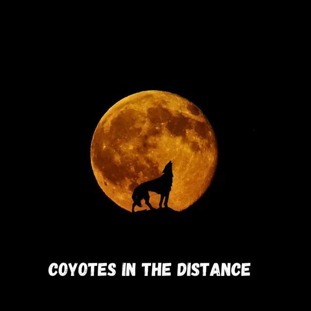 Coyotes in the Distance - Guitar Solo