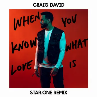 When You Know What Love Is (Star.One Remix) by Star.One