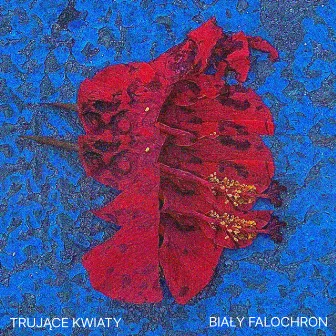 Trujące Kwiaty by Biały Falochron