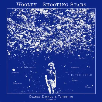 Shooting Stars by Woolfy