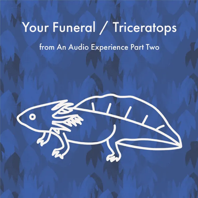 Your Funeral/Triceratops: From An Audio Experience Part Two