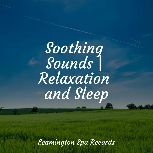 Soothing Sounds | Relaxation and Sleep